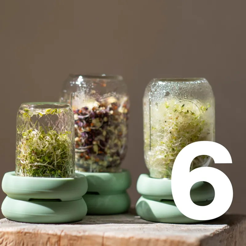 Sprout Huggers® Spirelokk, Sage Green / Food Huggers