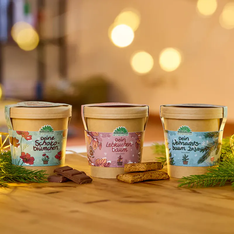 Chocolate Flower Growing Kit / Die Stadtgärtner