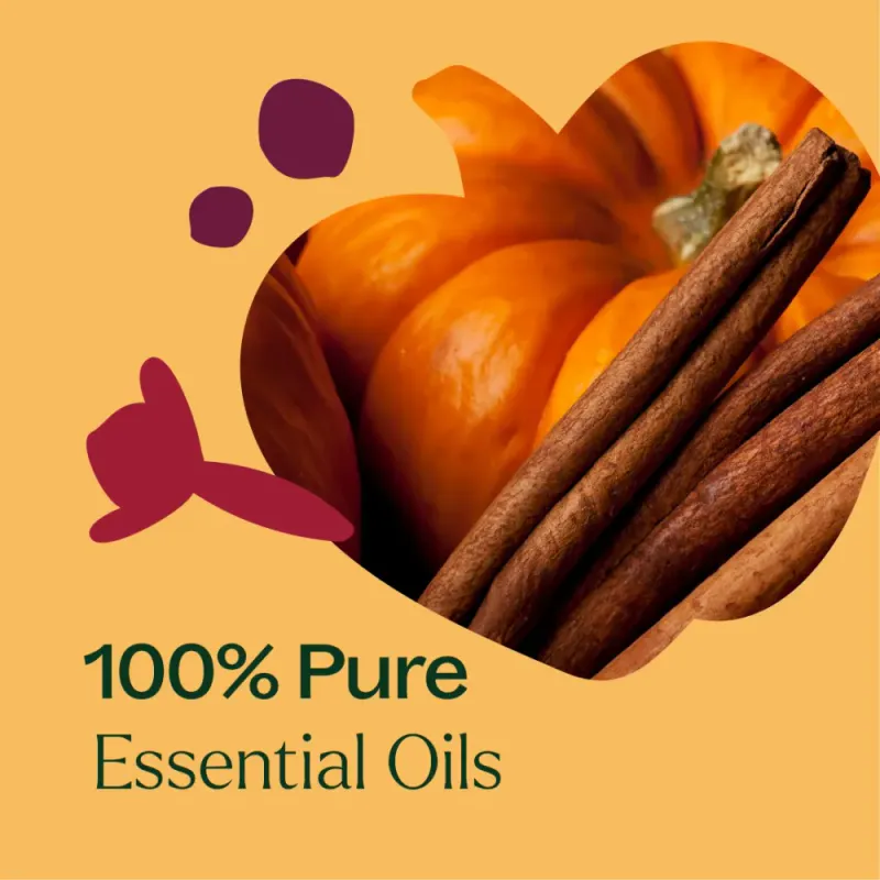 Pumpkin Spice Essential Oil Blend 10 ml | Plant Therapy