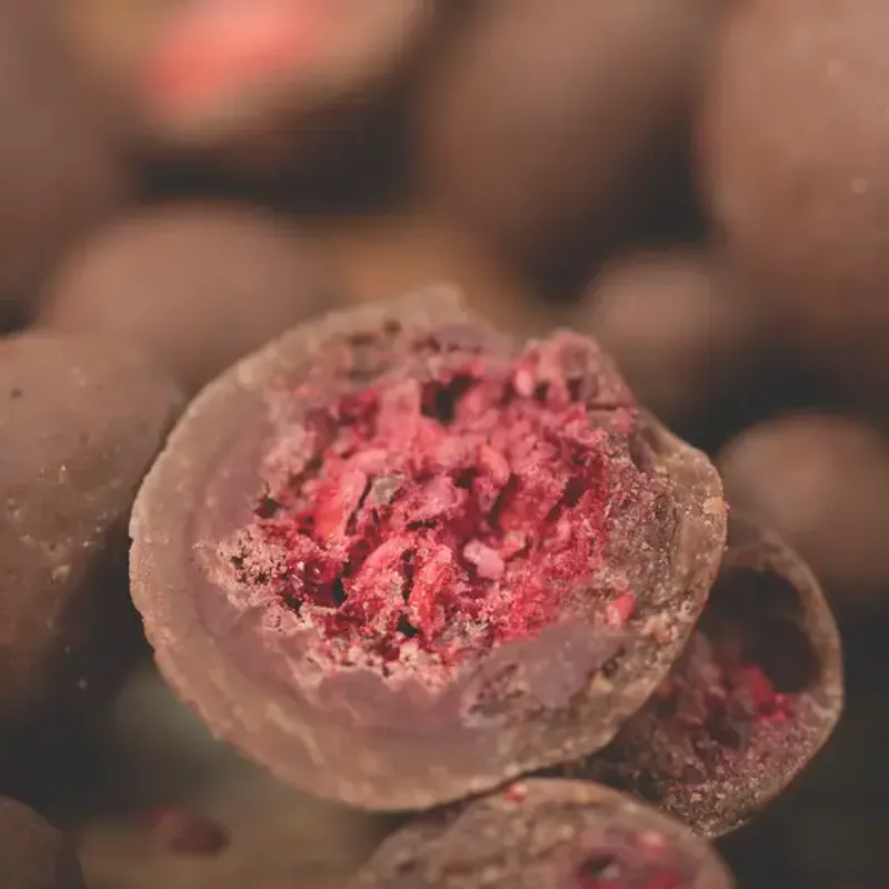 Raw Chocolate Raspberry 50g, økologisk / FOODIN