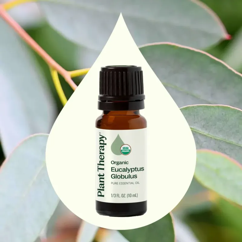 Eucalyptus eterisk olje 10 ml, økologisk / Plant Therapy