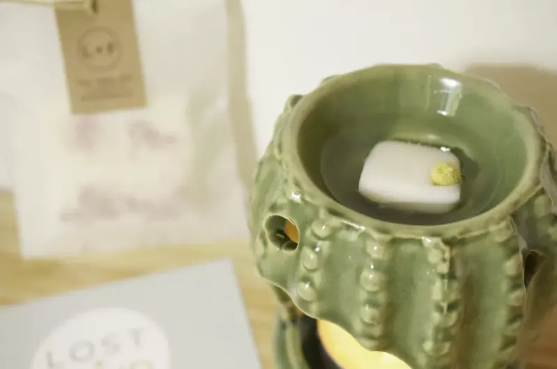 4  Wax Melts - Patchouli & Sweet Orange / Lost + Fond