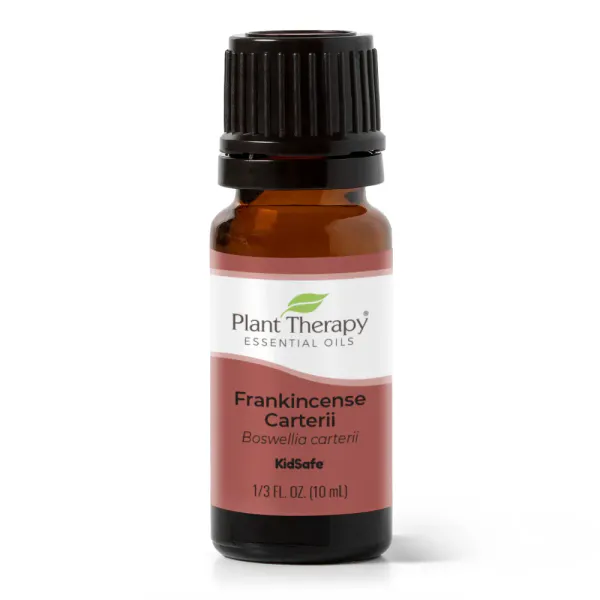 Bilde av Frankincense Carterii, eterisk oljeblanding av røkelse 10ml  / P