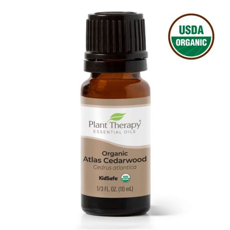 Sedertre eterisk olje 10 ml, økologisk / Plant Therapy