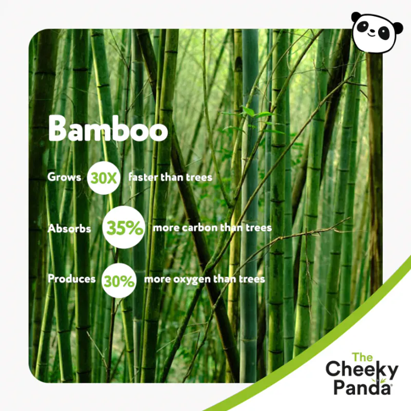 Bambus papirlommetørklær på boks / The Cheeky Panda