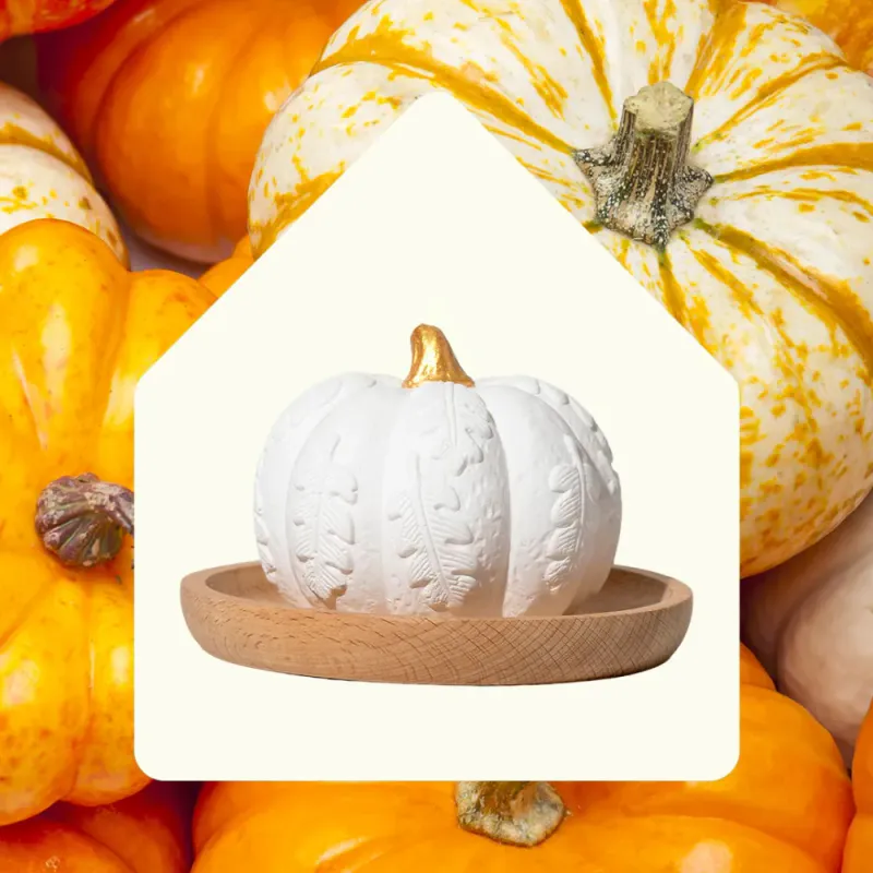 Pumpkin Passive Diffuser| Diffuser uten strøm | Plant Therapy