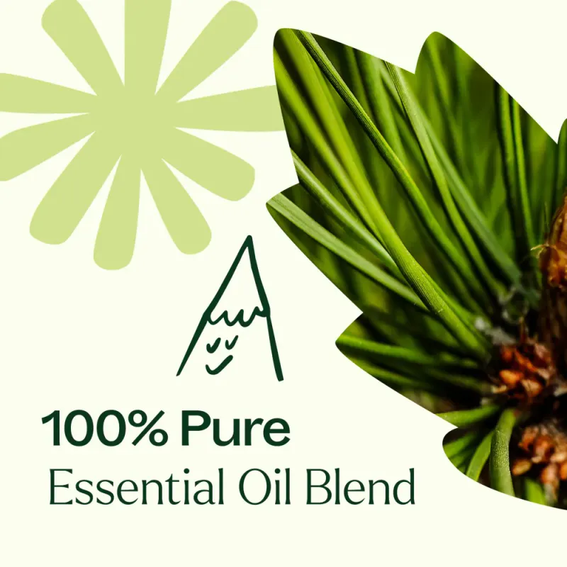 Arbor Sapling, eterisk oljeblanding 10ml / Plant Therapy