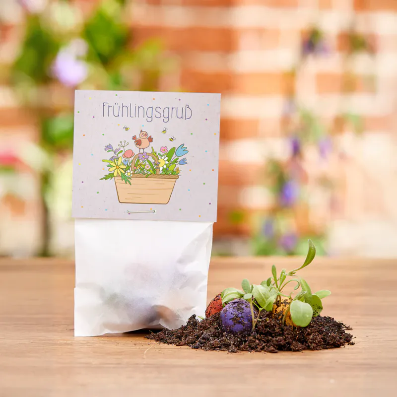 Spring Greeting - pose med frøballer / Die Stadtgärtner