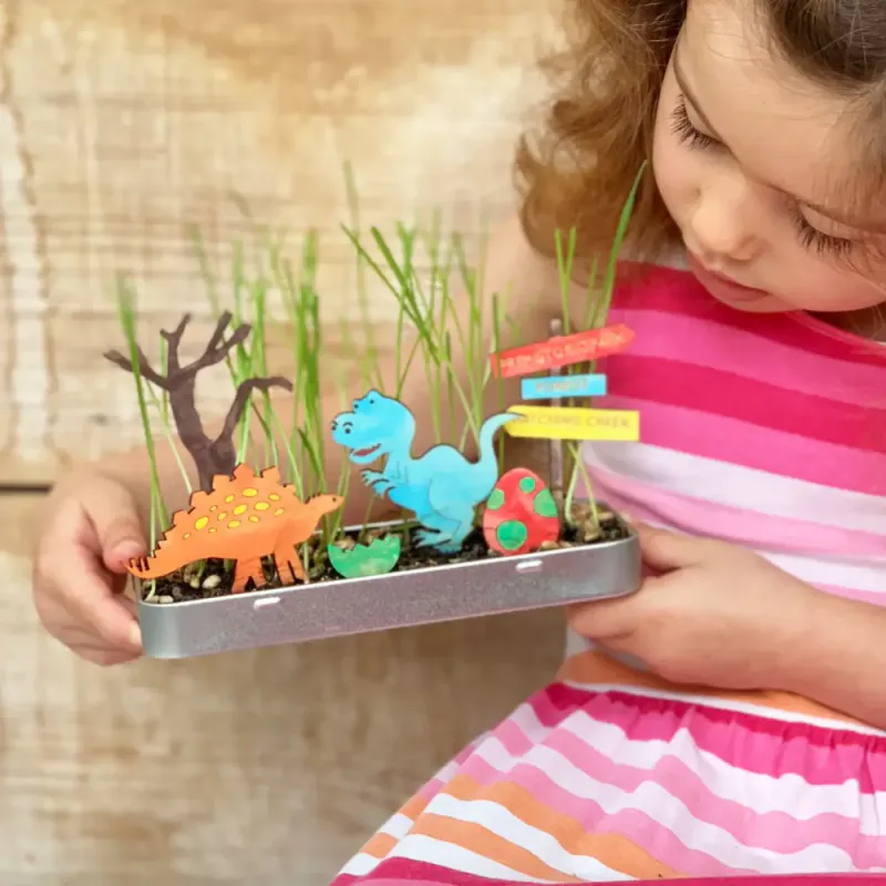 Make Your Own Dinosaur Garden / Cotton Twist